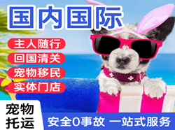 呼和浩特航空邮寄国际宠物托运 【国